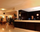 Delfinia Hotel & Bungalows foto 4