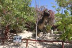 Dinosauria Park - ostrov Kréta foto 31