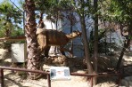 Dinosauria Park - ostrov Kréta foto 35