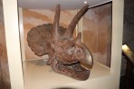 Dinosauria Park - ostrov Kréta foto 3