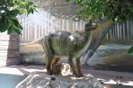 Dinosauria Park - ostrov Kréta foto 7