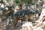 Dinosauria Park - ostrov Kréta foto 11