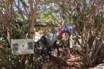 Dinosauria Park - ostrov Kréta foto 15