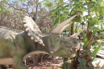 Dinosauria Park - ostrov Kréta foto 22