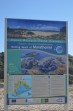 Pláž Marathonisi - ostrov Zakynthos foto 4