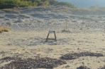 Pláž Marathonisi - ostrov Zakynthos foto 1